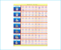 M.S Pipe Fittings